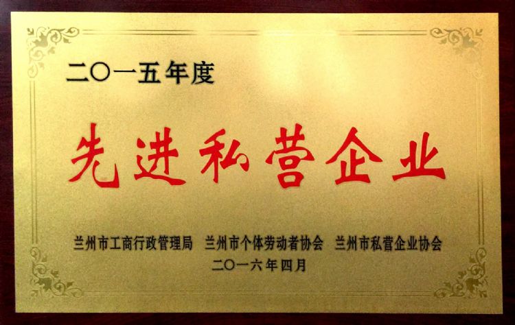 先進(jìn)私營(yíng)企業(yè)